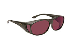 FL-41 Sunglasses