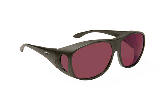 FL-41 Sunglasses